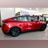 Tesla, Tesla India, Model Y