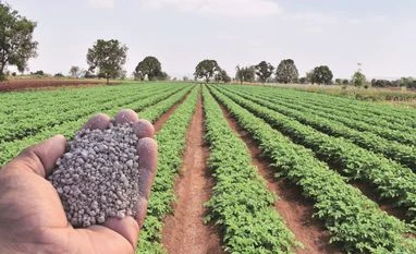 Govt imports nearly 1 million tonnes of DAP in Apr-Jun, shows Govt data Di-Ammonia Phosphate, DAP