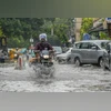 Delhi wakes up to heavy rains; waterlogging, traffic jams across NCR
