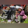 Cambodia seeks ceasefire with Thailand after clashes: All that happened
