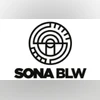 Why did Sona BLW shares rise over 4% in trade today? Find out here