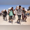 Gazans, Gaza aid, Israel-Gaza war, Palestinians People walk with sacks of flour delivered after trucks carrying humanitarian aid entered northern Gaza on July 27