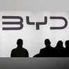 BYD outsells Tesla for fourth straight quarter despite sales dip BYD