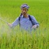 More than 2 million farmers in Assam get ₹422 crore under PM-KISAN