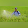 Farmers, Farmer, agriculture, fertilizers Farmers, Farmer, agriculture, fertilizers