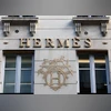 Birkin bag, Hermes' trademarks 'well-known marks' in India: Delhi HC