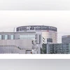 DLF