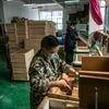 china, china economy