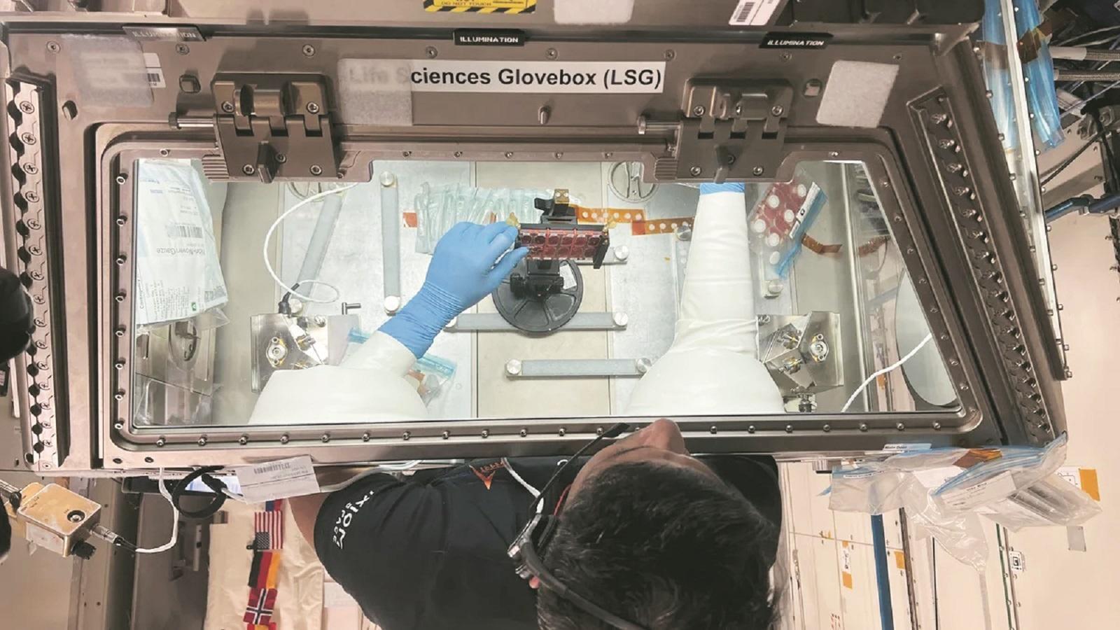 business-standard.com - Shine Jacob - In-space industry set to unlock multi-billion dollar mkt in manufacturing