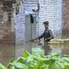 Rain batters North India; Yamuna rises in Delhi, floods hit hill states