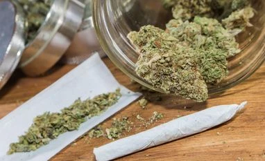 Medicinal cannabis sparks concern in Australia over psychosis, poisonings cannabis