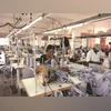 knitwear, textile