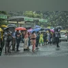 Yamuna water level nears evacuation mark in Delhi; IMD predicts more rain