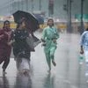 Delhi Rains, Rain