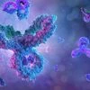 This antibody doesn't kill bacteria, it just neutralises their toxins