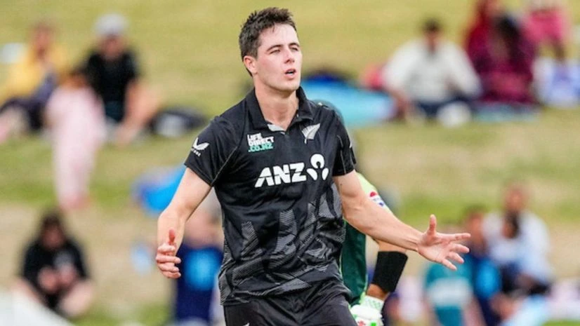 Will O'rourke Will O'rourke