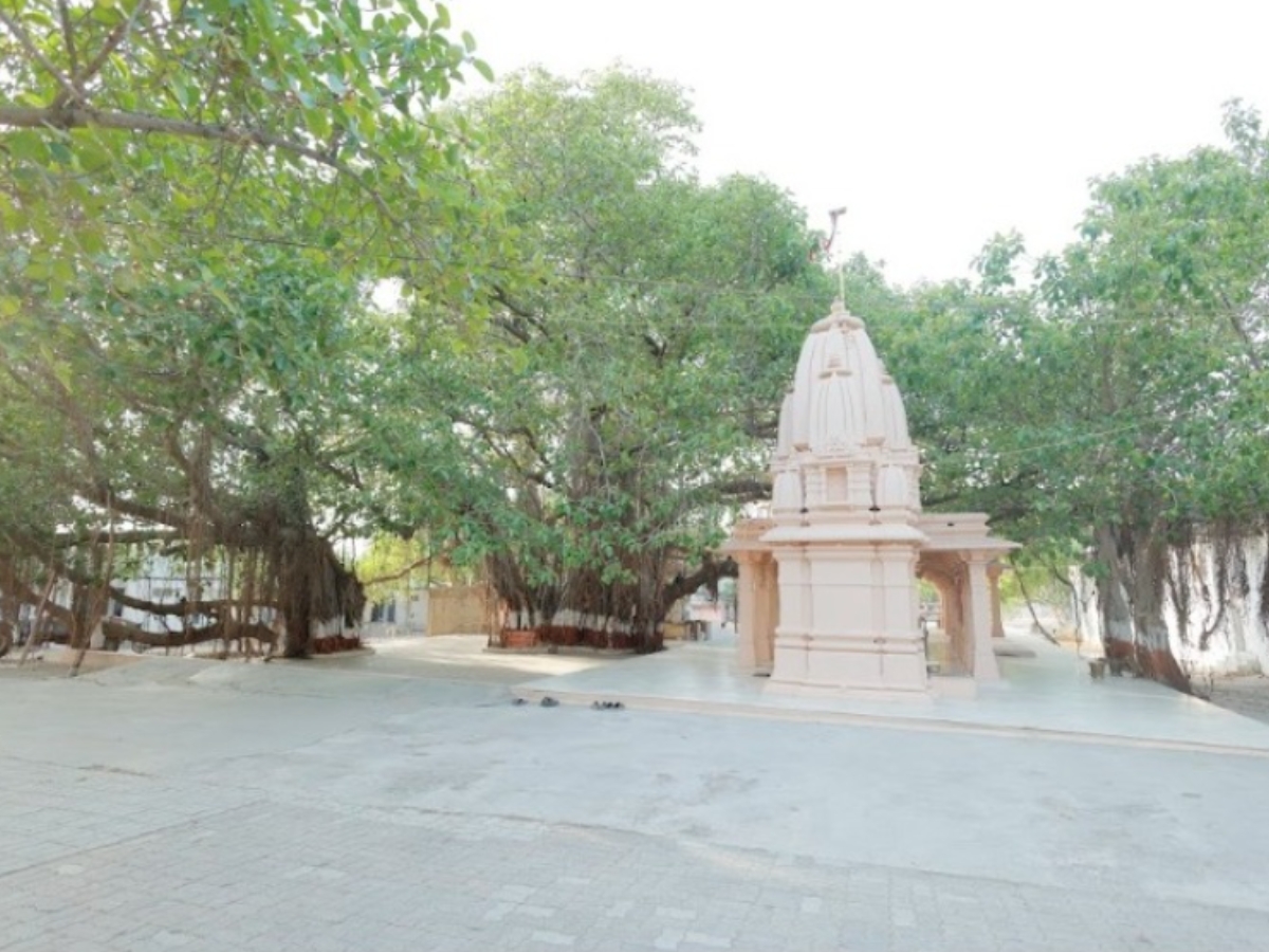 Tennis player James Blake