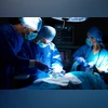 Surgeons put pig lung in human body: What it means for organ transplant