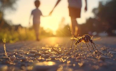 This new WHO-backed mosquito repellent cuts malaria risk by over 50% mosquito, malaria, dengue
