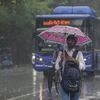 Delhi Rains, Rain