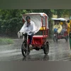 Delhi Rains, Rain