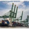 Indian economy likely grew solidly before Trump tariffs hit outlook