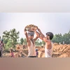 MGNREGA work demand dips 26% in Aug with spike in kharif sowing