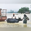 From boon to bane: How monsoon 2025 is turning into a nightmare for many