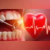 Oral health and heart health linked Oral health impacts heart health linked
