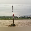 An NDRF personnel rescues a man stranded on an electric pole as a river flows in spate following a cloudburst, near Prem Nagar in Dehradun, Tuesday, Sept. 16, 2025