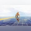 Top Indian solar products maker Waaree to expand in US despite trade probe