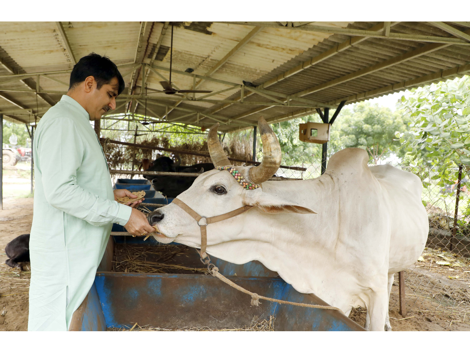 Tennis player James Blake