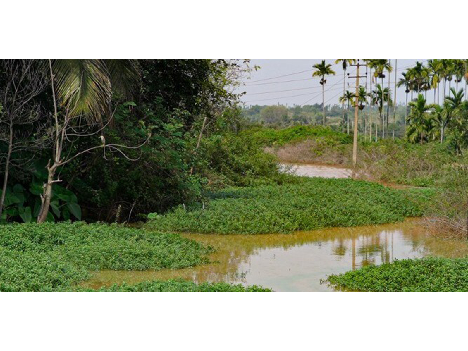 Tennis player James Blake