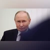Vladimir Putin, Putin