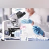 WHO flags surge in drug-resistant bacteria, warns of innovation crisis