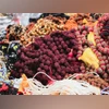 Rudraksha seeds gain popularity in Switzerland among diaspora and locals Rudraksha (Image: pexel.com)