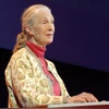 jane goodall