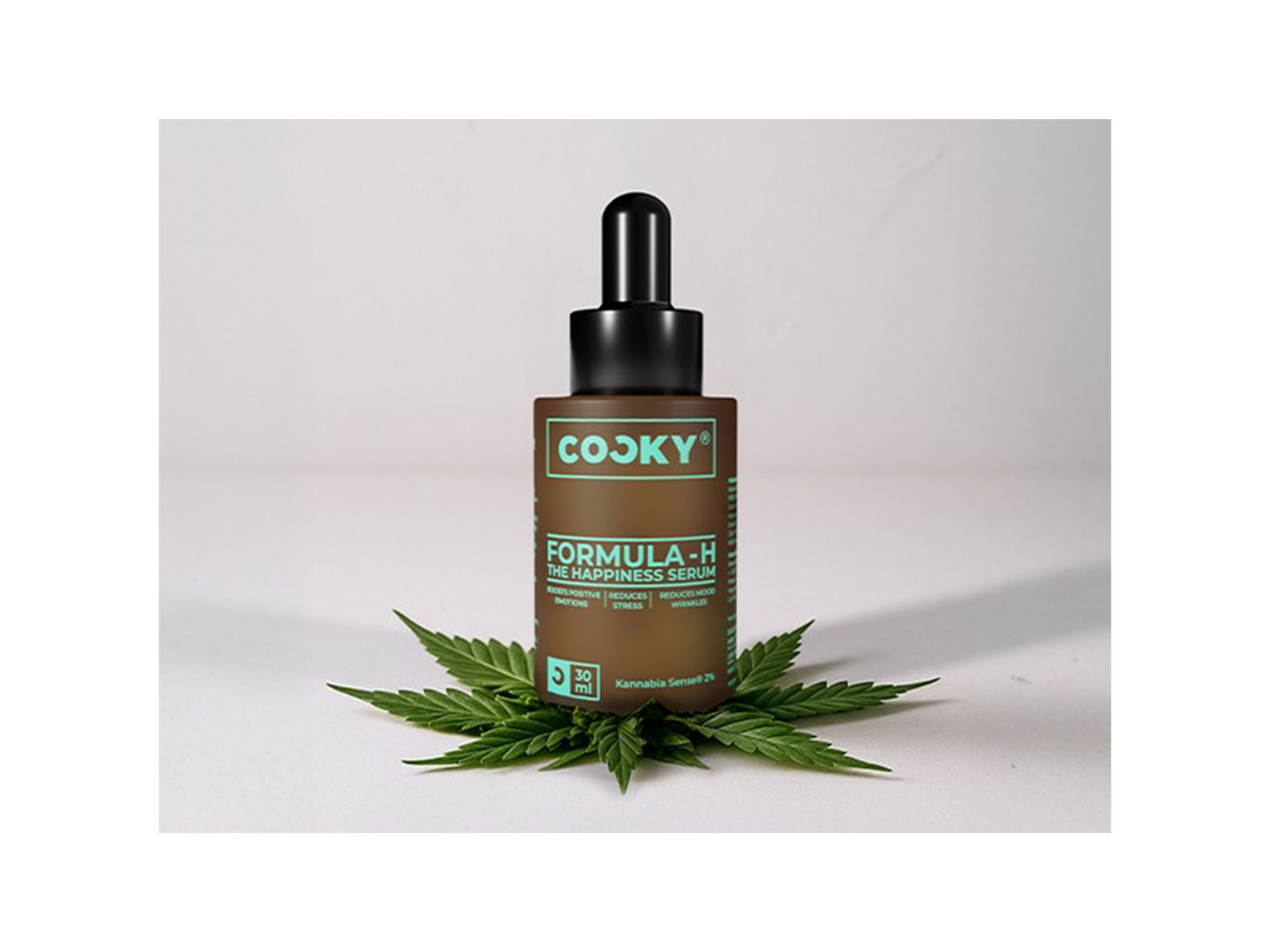 Tennis player James Blake