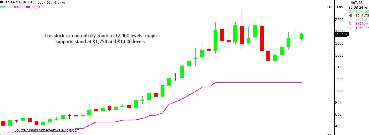 Blue Star stock outlook