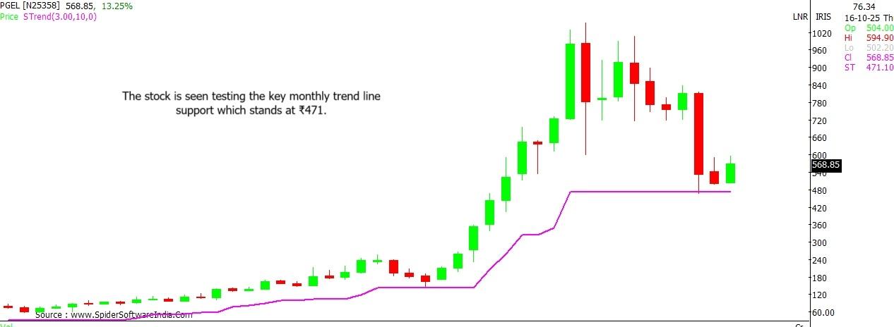 PG Electroplast stock outlook