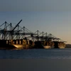 Container ships at the Port of Los Angeles in August