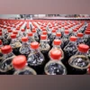 Coca-Cola weighs $1 bn IPO for Indian bottling unit, valued at $10 bn