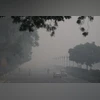 Smog, Delhi Pollution, Delhi Air Quality, Pollution