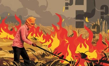 stubble burning stubble burning