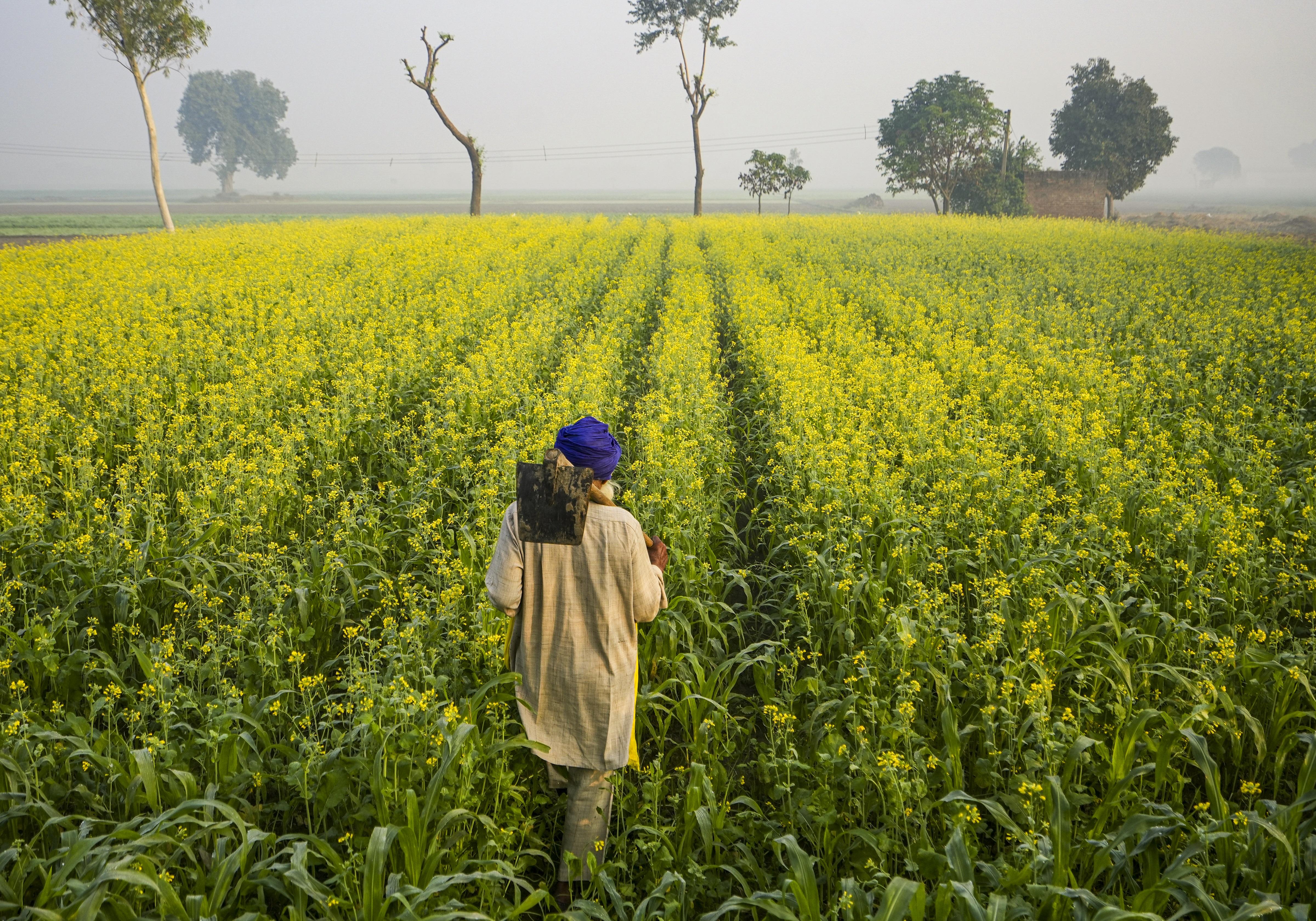 India's NCDEX eyes 20% stake in Sri Lanka's first commodity exchange