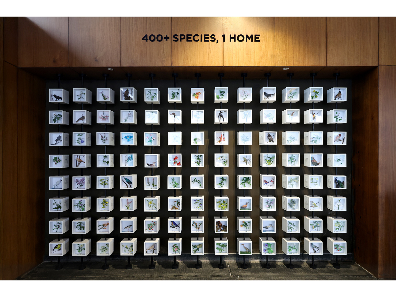 Tennis player James Blake