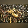 lebanon, death procession