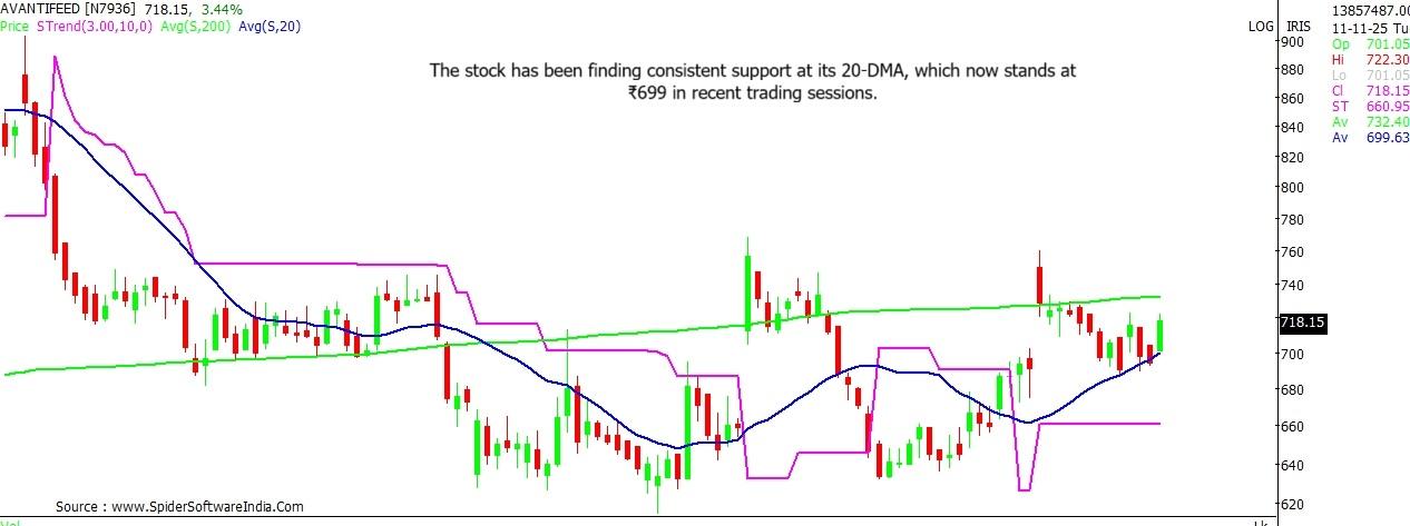 Avanti Feeds stock outlook
