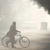 Winter smog grips Delhi, AQI stays 'severe' despite emergency measures