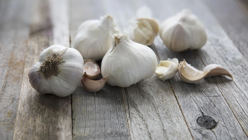 garlic garlic